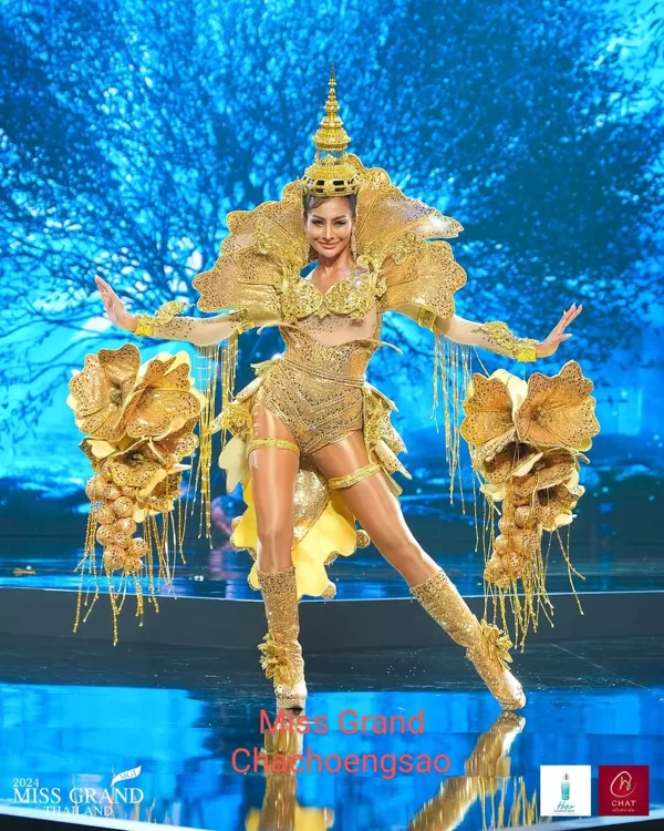 TOP3 de 20 - Trajes de fantasía Miss Grand Tailandia 2024